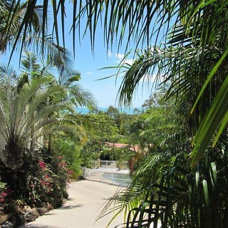 Reefside Villas - Whitsundays Airlie Beach Bagian luar foto