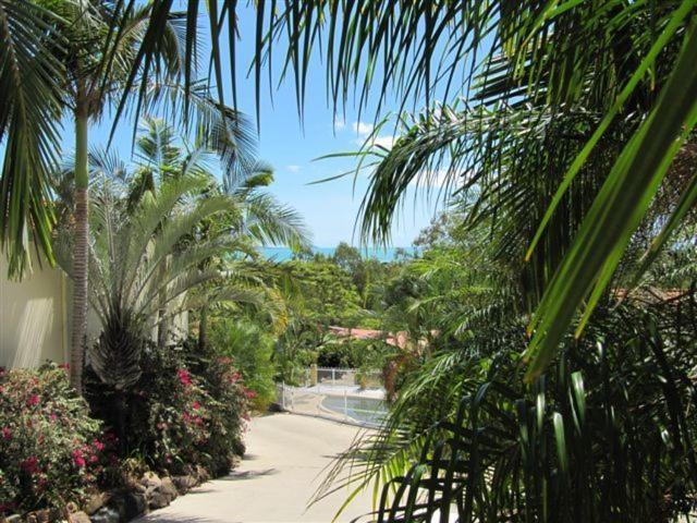 Reefside Villas - Whitsundays Airlie Beach Bagian luar foto